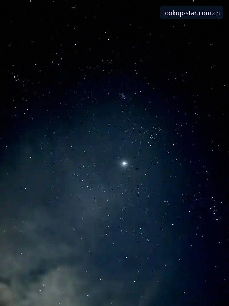 为什么说星空自在仰望版是棋牌玩家的“赛事数据替代站”？